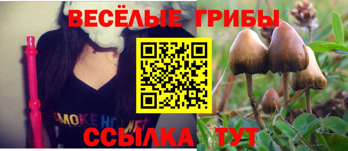 Псилоцибиновые грибы Psilocybine cubensis  Галлюциногенные грибы ЛСД  Тара  Вход с VPN 